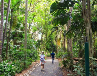 Free guided tour - City Botanic Gardens