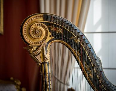 Renaissance music in the gardens - Harp performances