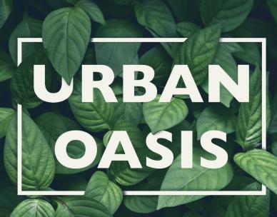 Urban Oasis Pop-Up as part of the 'Make Visible' Outdoor Gallery Exhibition