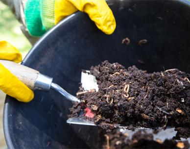 ONLINE: Ten Commandments of Composting