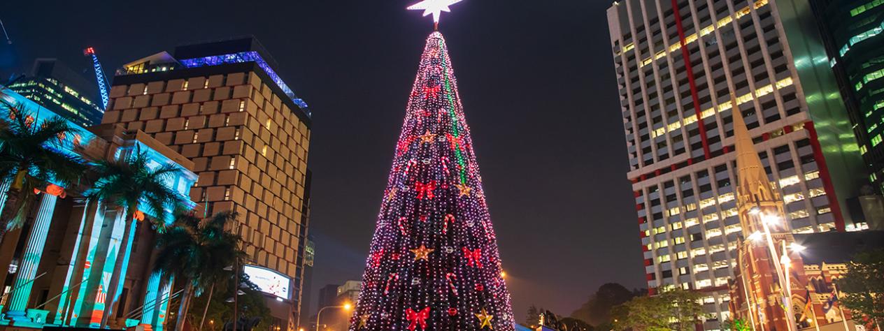 Brisbane City Christmas Tree
