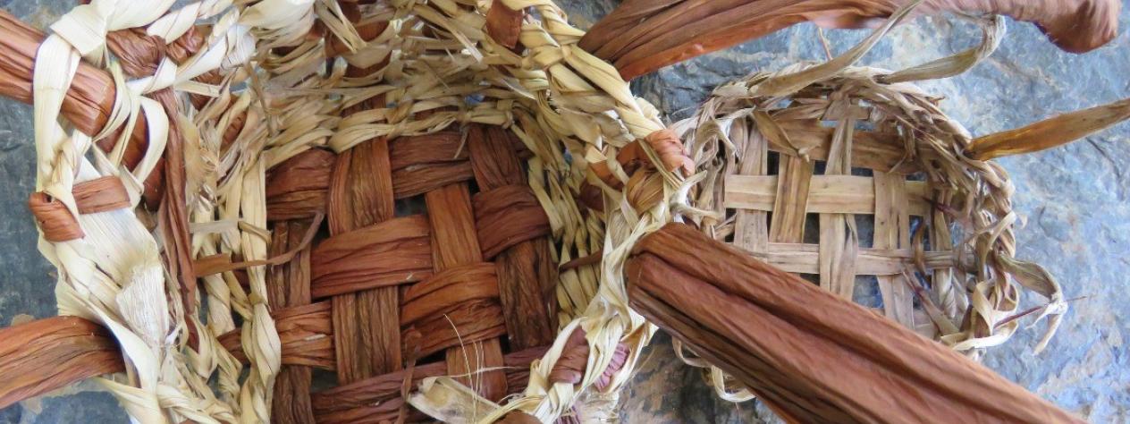 Botanic art: Natural weaving