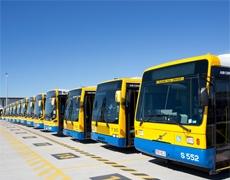 Brisbane buses