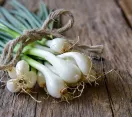 Pile of spring onions on wooden table